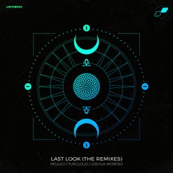 Last Look (The Remixes)