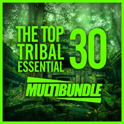 The Top 30 Tribal Essential Multibundle