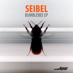Bumblebee - EP