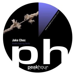 Breathe : The Peak Hour Remixes