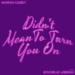 Didn't Mean To Turn You On (with Rochelle Jordan)