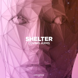Shelter (Extended Mix)