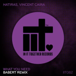 What You Need (Babert Remix)
