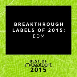 Breakthrough Labels of 2015: EDM