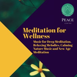 Meditation For Wellness (Music For Deep Meditation, Relaxing Melodies, Calming Nature Music And New Age Meditation)