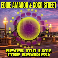 Never Too Late (The Remixes)