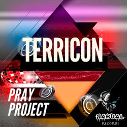 Terricon