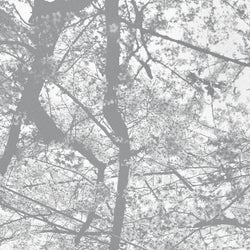 Obliteration Bliss