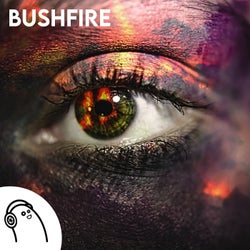 Bushfire