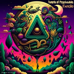Temple Of Psychedelic