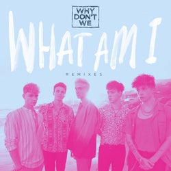 What Am I (Remixes)