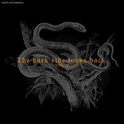 THE DARK SIDE LOOKS BACK - Vol. II