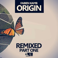 Origin: Remixed, Pt. 1