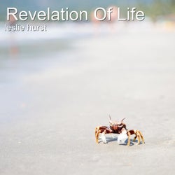Revelation of Life