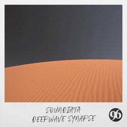 Deepwave Synapse