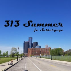 313 Summer