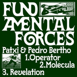 Fundamental Forces