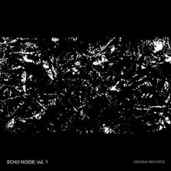 Echo Noise, Vol. 9