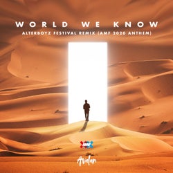 World We Know (AMF 2020 Anthem) - AlterBoyz Festival Remix