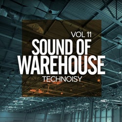 Sound Of Warehouse, Vol.11: Technoisy