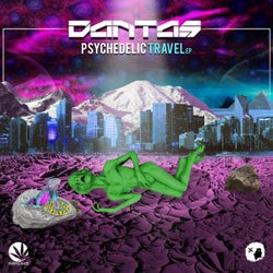 Psychedelic Travel