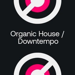 On Our Radar 2023: Organic House / Downtempo