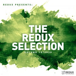 Redux Selection Vol. 10 / 2020