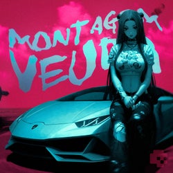 Montagem Veudo