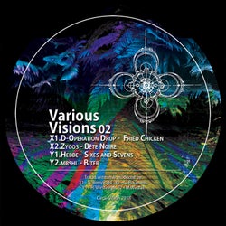Various Visions 02