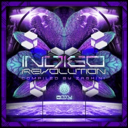 Indigo Revolution - Compiled By DJ Zaghini