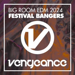 Big Room EDM 2024 - Festival Bangers
