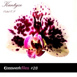 Basswerk Files 028 - Orchid EP