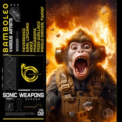 ​Sonic Weapons Vol.1 Part 1