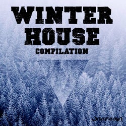 Winter House Compilation