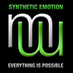Synthetic Emotion - Everything Is Possible