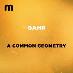 A Common Geometry