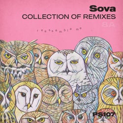 Sova