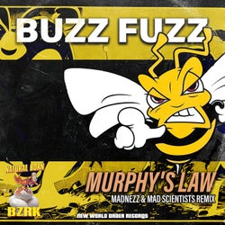 Murphy's Law (Madnezz & Mad Scientists Remix)