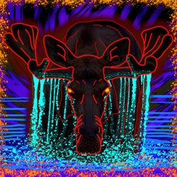 Moose on the Loose