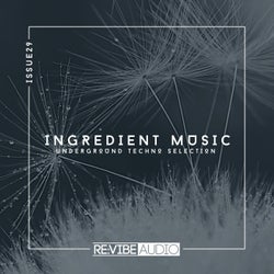 Ingredient Music, Vol. 29