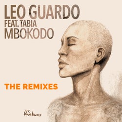 Mbokodo The Remixes