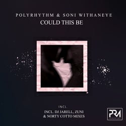 Could This Be (Incl. DJ Jarell, Zuni & Norty Cotto Remixes)