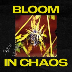 Bloom In Chaos