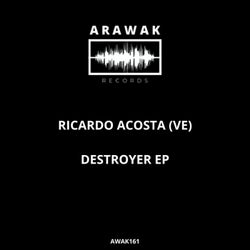 Destroyer