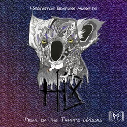 Hedonismus Business Presents - Night Of The Tripping Wooks