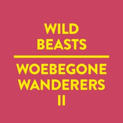 Woebegone Wanderers II
