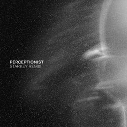 Perceptionist (Starkey Remix) - Remix