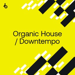 Amsterdam Special: Organic House/Downtempo