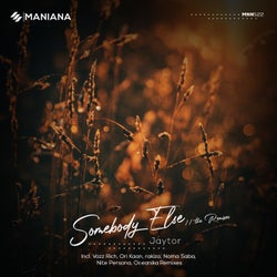 Somebody Else // The Remixes