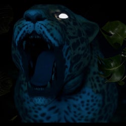 Spirit of the Jaguar